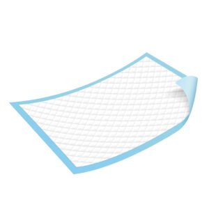 HS001 Under Pads with Poly Bag